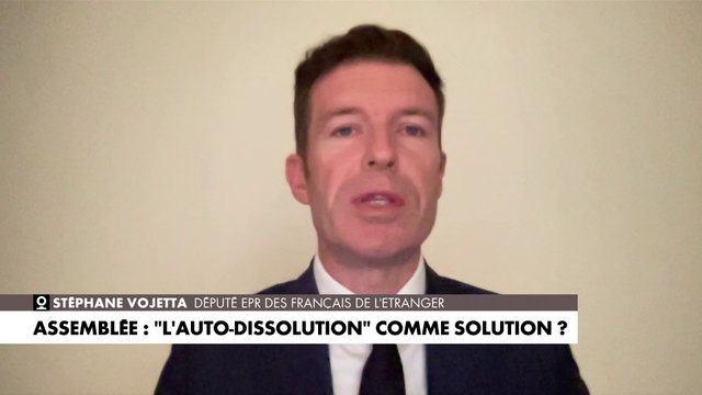 Stéphane Vojetta : «Il suffit que chacun des 577 députés démissionne»
