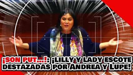 ¡Par de put…!: ¡Lilly Téllez y ‘Lady escote’ son destrozadas por Andrea Chávez y Lupe Chavira!