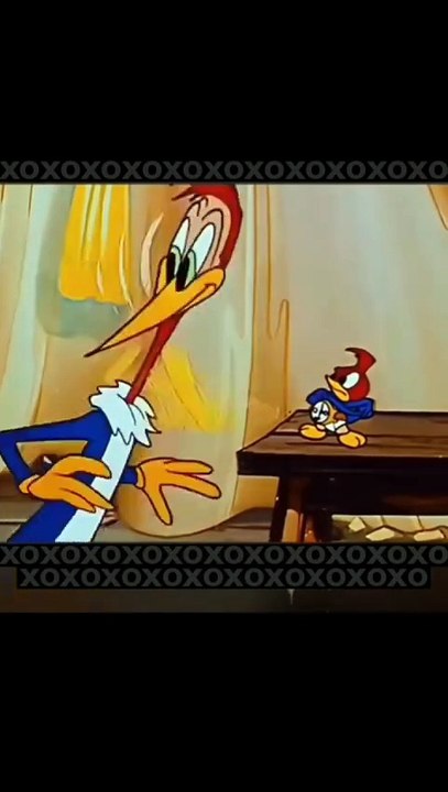 #cartoon #funny #cute #woodpecker #woody #2d #lifecycle #life #sn2sg #grow #age #sunnight #beak #bird #sunnightmusic  #youth #super #strength #sunnightblues #sunnightpop #adventure #lifetime #time #letmechaseyou #trip #cool #fun #explore #mindset #learn #