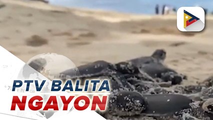 PAGASA: Malamig na simoy ng hangin, asahan sa susunod na linggo