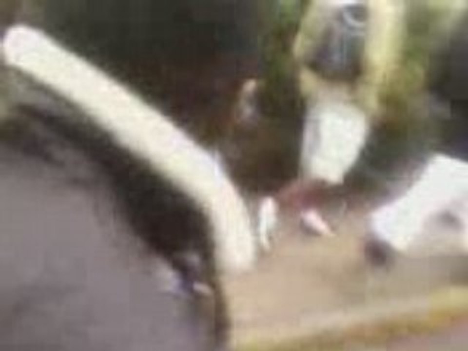 Vidéo0004