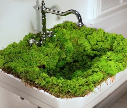 Moss & moisture! Transforming bathrooms into green retreats!