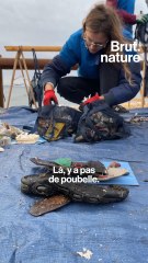 24h pour ramasser les déchets avec Wings of the Ocean