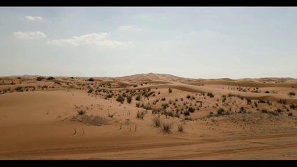 Forgive Us O Allah - Music Video 2024 - Arabic Song - Zamarix Music