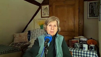 DCW241213 - Tràm (flânerie lexicale de l'Ami Hebdo)