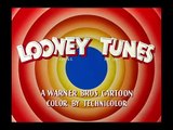 Looney Tunes Bewitched Bunny | Hindi Dubbed