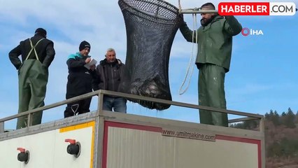 Tokat'ın Somon İhracatı Karadeniz Üzerinden Dünyaya Açılıyor