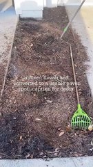 Family turns their flower bed into a small paver area!