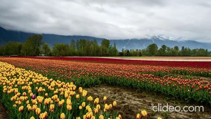 Música Relaxante Perfeita para Descansar, Focar ou Apenas Desconectar