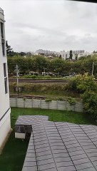 Decision_Exporter_Child_Abuse