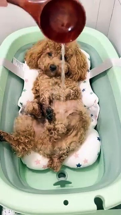 El baño más lindo