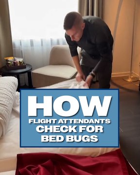 This is what flight attendants do to check for bed bugs 🐜