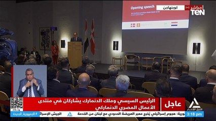 الرئيس السيسي: سنوقع غدا على ترفيع مستوى العلاقات بين مصر والدنمارك إلى الشراكة الاستراتيجية