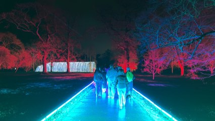 The best Christmas lights in London: Kew Gardens