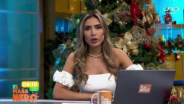 Cívicos responden a Arce