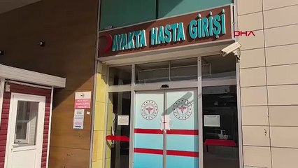 Kedi acil servise geldi; gerçek ortaya çıktı