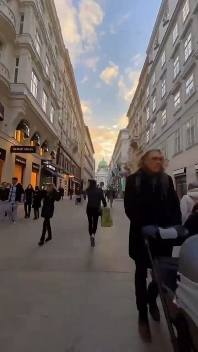 LE SUBLIME Palais impériel de Vienne