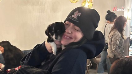 Avant son concert, Billie Eilish décide de rendre visite aux animaux d’un refuge