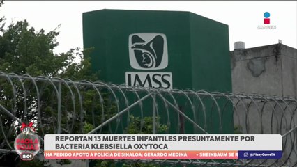 13 menores mueren presuntamente por la bacteria Klebsiella Oxytoca en el Estado de México
