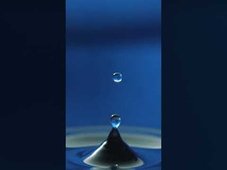 Bilge Liderin Özellikleri: Yönetim ve Halk İlişkisi