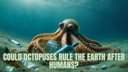 Could Octopuses Rule the Earth After Humans?