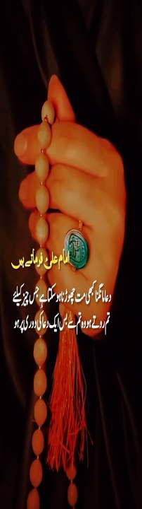 Azadari Sayada Pak Bibi #status #reels #shorts #video #new #news #whatsappstatus