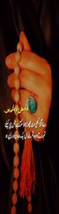 Azadari Sayada Pak Bibi #status #reels #shorts #video #new #news #whatsappstatus
