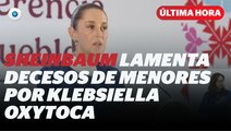 Sheinbaum se pronuncia tras los deceso de menores por Klebsiella oxytoca I Reporte Indigo