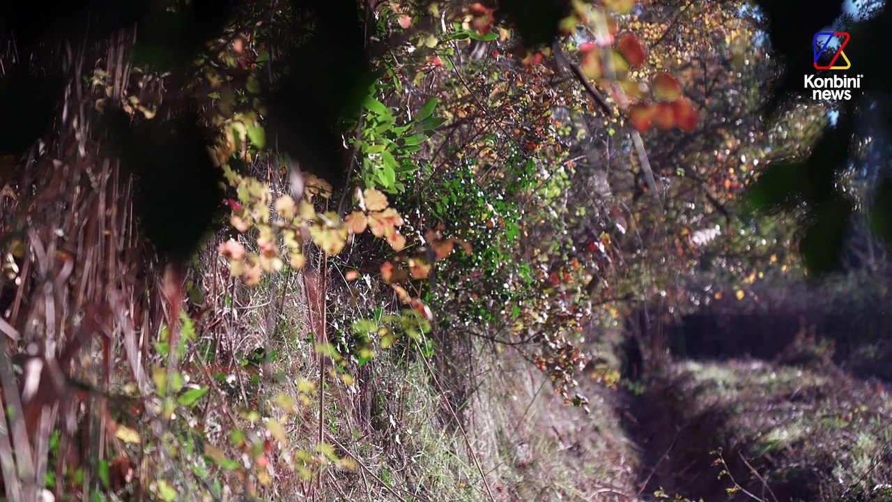 Agro-industrie, pesticides et survie : le cri des paysans | Reportage