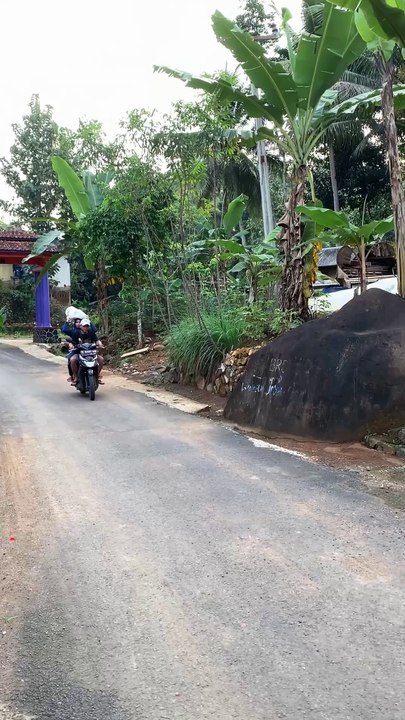 harusnya dari tadi