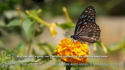 Nature is your beauty | Nature teaches to live | We will save nature