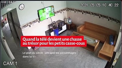 Quand la télé devient une chasse au trésor pour les petits casse-cous