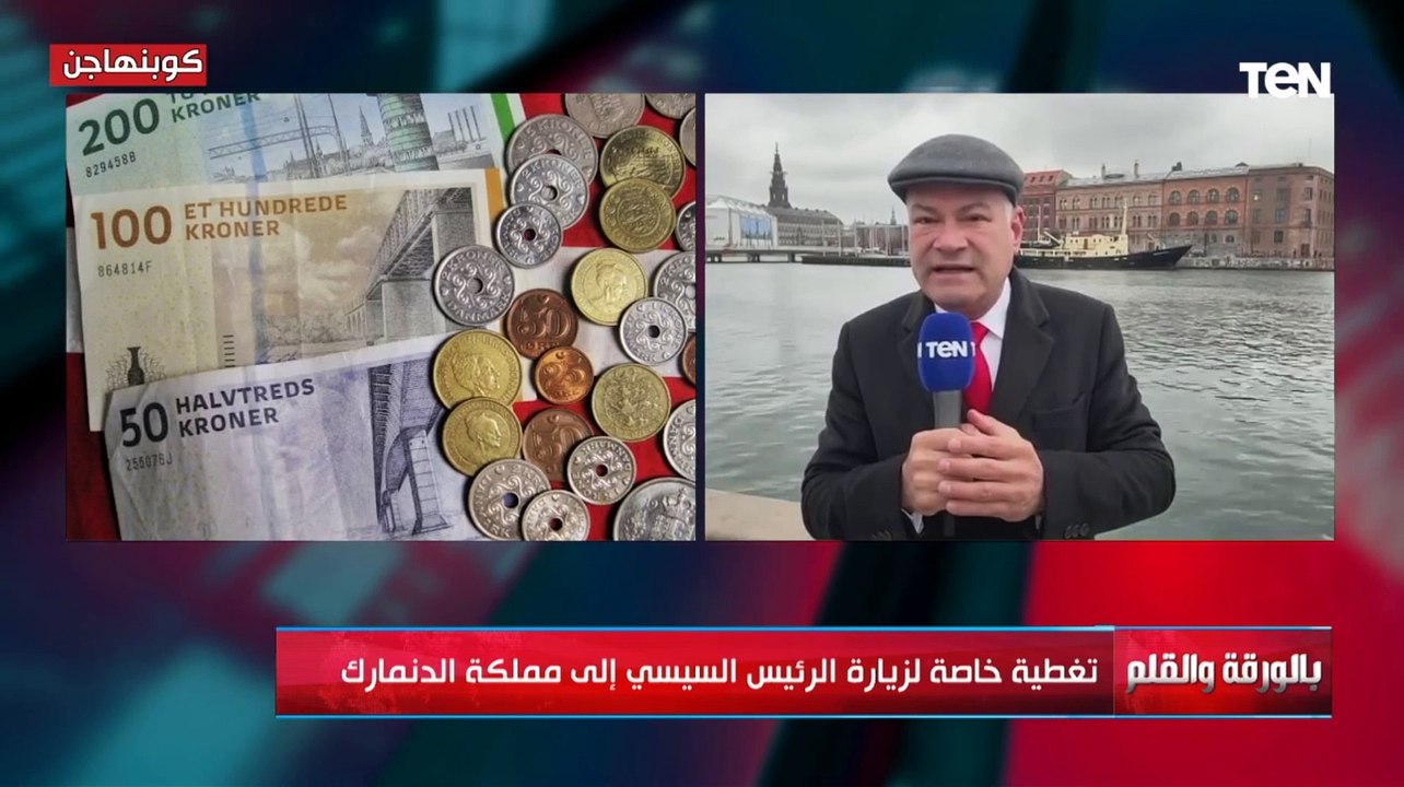 الديهي من كوبنهاجن: مصر سوق واعد بالنسبة للدنما...