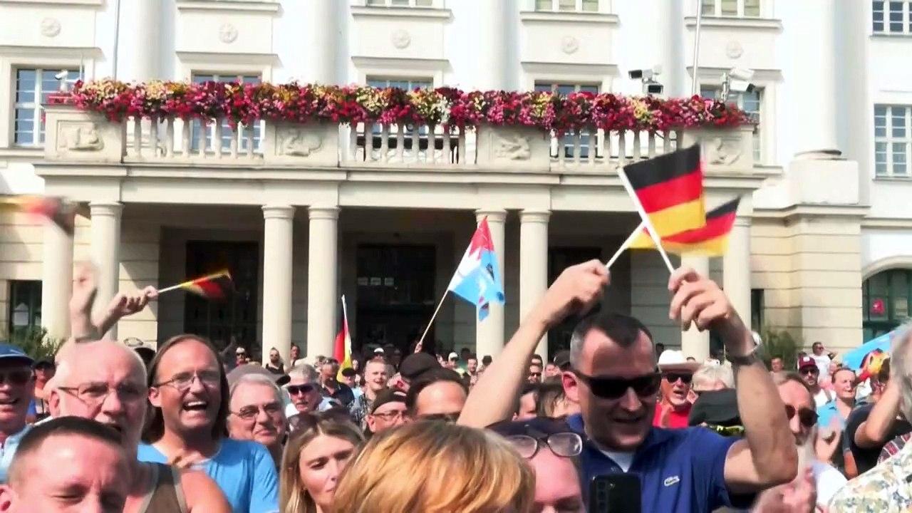 Hintergrund: Das Wahlprogramm der AfD