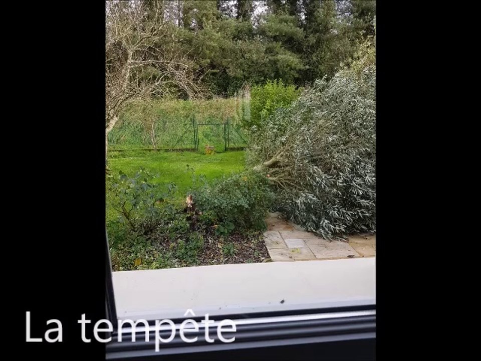 Souvenirs de la tempête Caetano en 2024