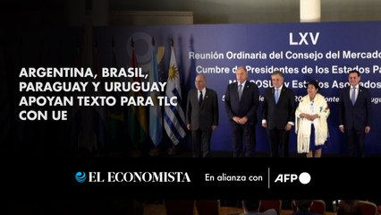 Argentina, Brasil, Paraguay y Uruguay apoyan texto para TLC con UE