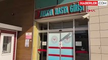 Bacağı kırılan kedi, hastanenin acil servisine geldi