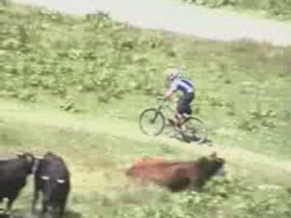 Vtt