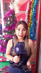 ¿Cuánto cuesta armar el árbol de Navidad en Salta? 🎄