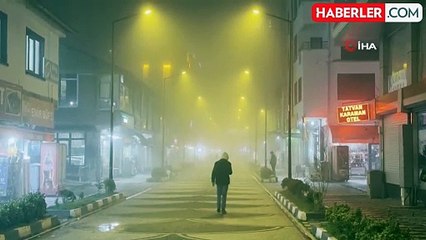 Tatvan'da Yoğun Sis Hayatı Olumsuz Etkiliyor