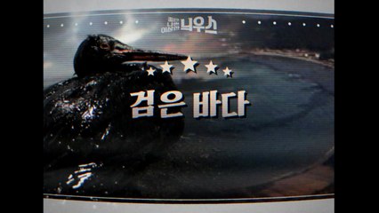 [좋은·나쁜·이상한 늬우스] 검은 바다 / YTN