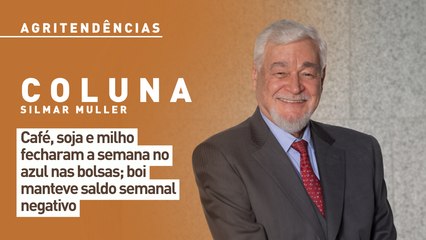 Café, soja e milho fecharam a semana no azul nas bolsas; boi manteve saldo semanal negativo
