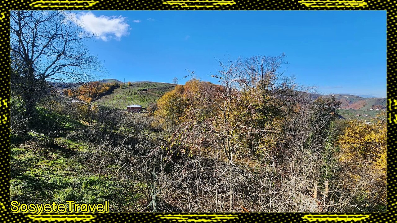 Gezi Stok Fotoğrafları ve Resimleri