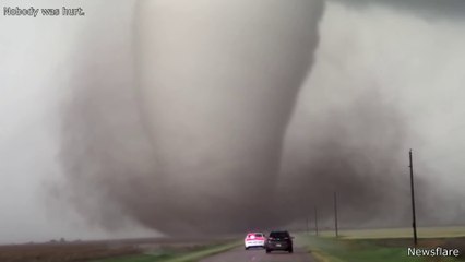 Craziest Nature Videos of the Decade2025-2024