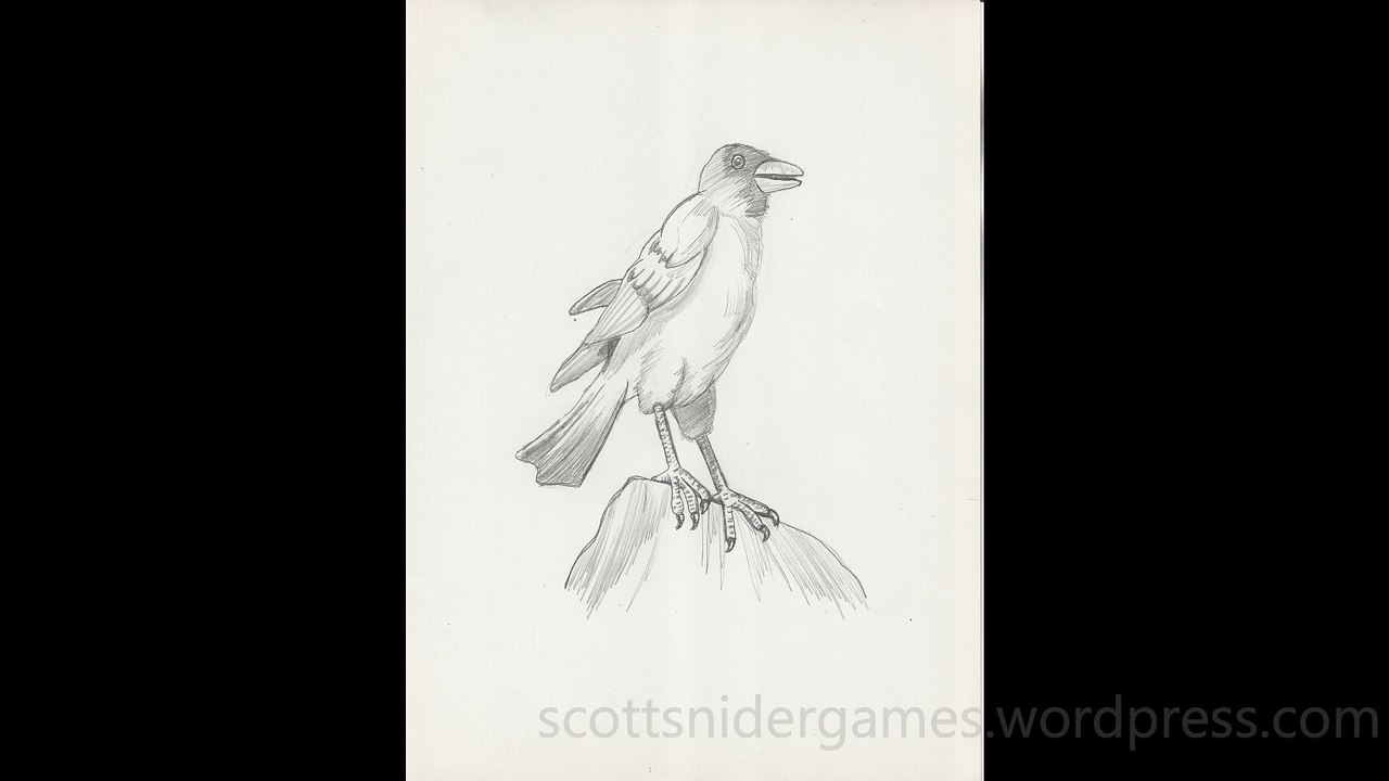 Raven Pencil Sketch Video #2 (12-06-2024)