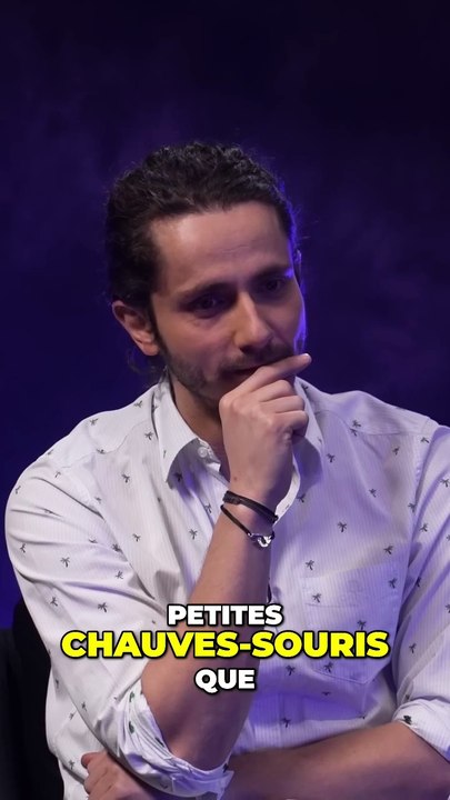 Une Nuit Terrifiante en Afrique du Sud _ Chauve-Souris ou Léopard _