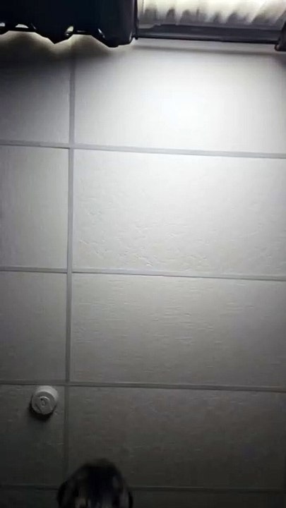 Muehehehe