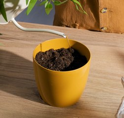 Des conseils de jardinage qui changeront votre façon de cultiver !