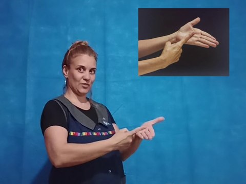 Seña Decidir (Lengua de señas Argentina)