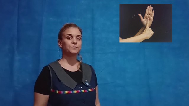 Seña Reglamento (Lengua de señas Argentina)